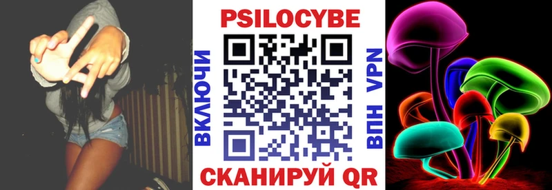 площадка какой сайт  Шарыпово  Галлюциногенные грибы Psilocybe 