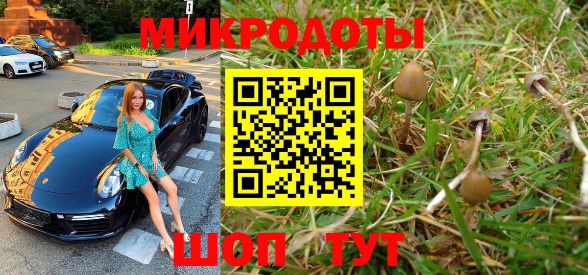 Галлюциногенные грибы прущие грибы Шарыпово
