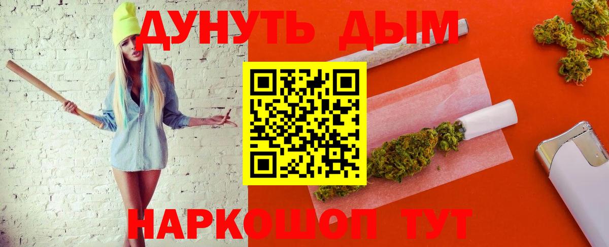 Конопля план Шарыпово